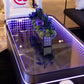 Infinity Mirror Art Table | LED Light Illusion Coffee Table with Personalized Design powered by Battery Under 6 Sq.ft